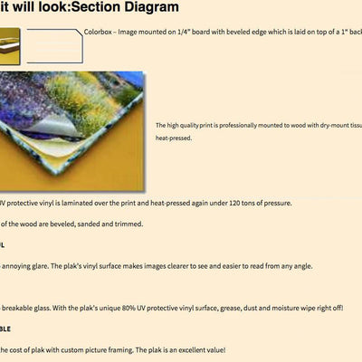 Yoga Guru (Patanjali Nathar)-- Master of Yogic Truth!