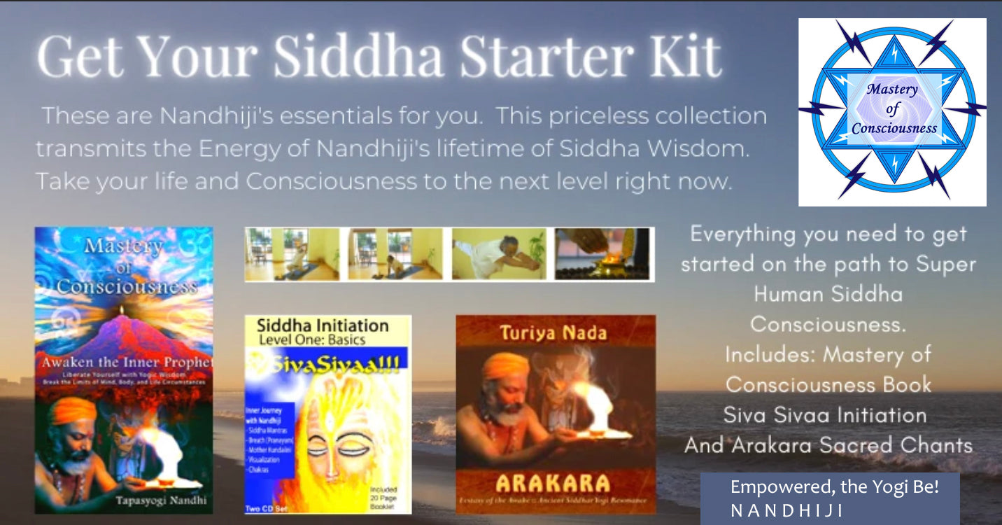 Mastery of Consciousness Teachings (Digital Download Bundle)